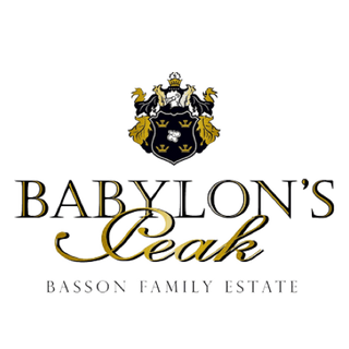 Babylon's Peak Wine Shop to buy wine in Cape Town CBD